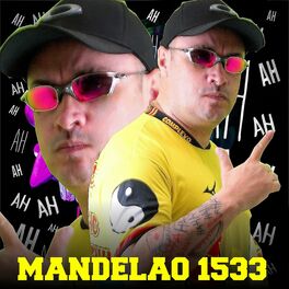 Album cover of Mandelão do 1533