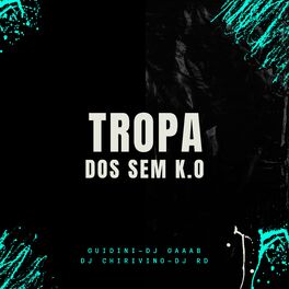 Album cover of TROPA DOS SEM KO - PONTINHO