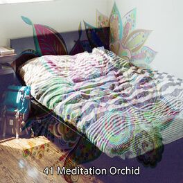 Album cover of 41 Meditation Orchid