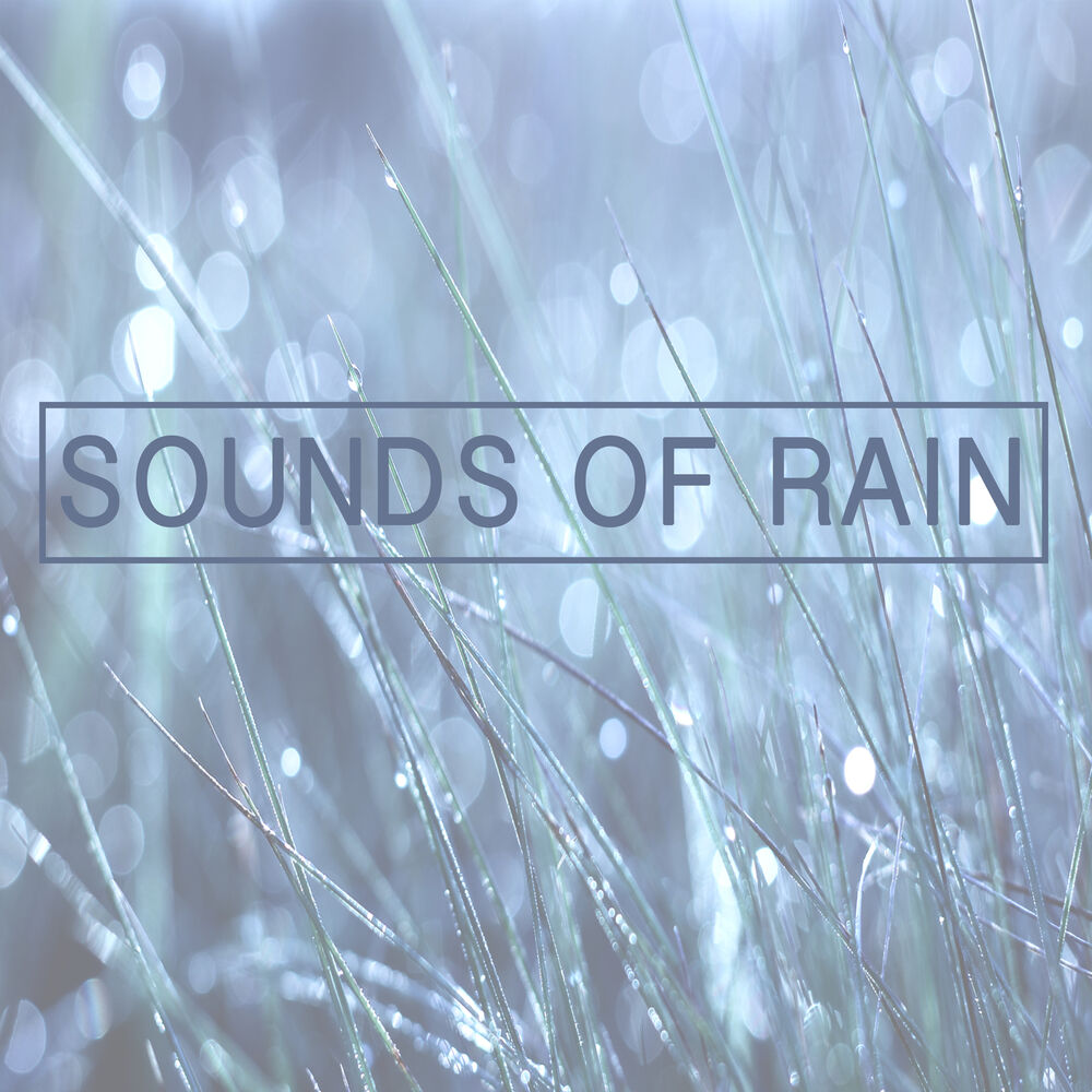 Белый шум для новорожденных дождь слушать. Логотип Sound of Rain. The Sound of Rain перевод. Benefits of Sound Rain. The Sound of the Rain Secret service.