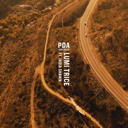 Album cover of PDA (San Diego) [feat. India Shawn]