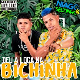 Album cover of Deu a Louca na Bichinha