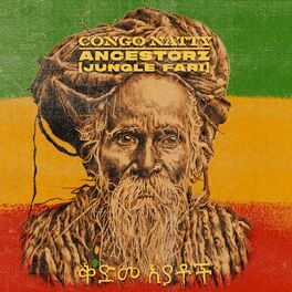 Album cover of Ancestorz (Jungle Fari)