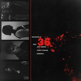 Album cover of 36 (feat. Joey Vantes, nobigdyl. & Torey D'Shaun)
