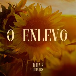 Album cover of O Enlevo
