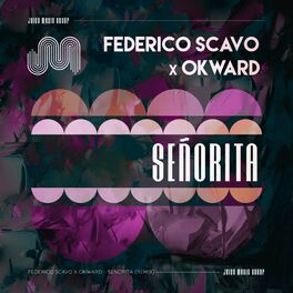 Album cover of Señorita (Federico Scavo Remix)