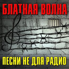 Album cover of Блатная волна (Песни не для радио)