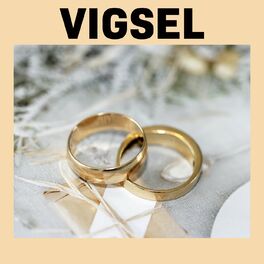 Album cover of Vigsel