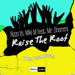 Album cover of Raise the Roof (The Remixes)