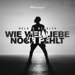 Album cover of Wie viel Liebe noch fehlt