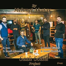 Album cover of Sazlı Sözlü Project