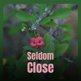Album cover of Seldom Close