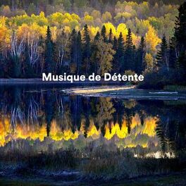 Album cover of Musique de détente