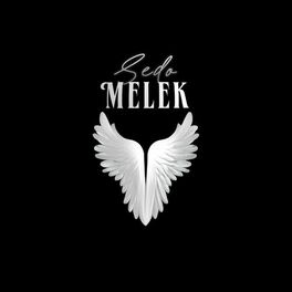 Album cover of MELEK