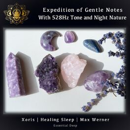 Album cover of Expedition of Gentle Notes with 528Hz Tone and Night Nature