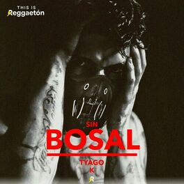 Album cover of Sin Bosal