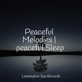 Album cover of Peaceful Melodies | peaceful Sleep