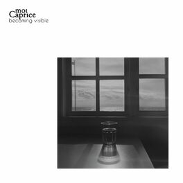 Album cover of Becoming Visible