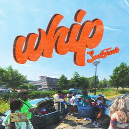Album cover of WHIP (feat. BLOK & MC Lost)