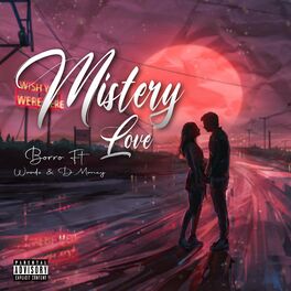 Album cover of Mistery Love (feat. Woodz & D Money)