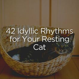 Album cover of 42 Idyllic Rhythms for Your Resting Cat