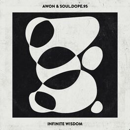 Album cover of Infinite Wisdom