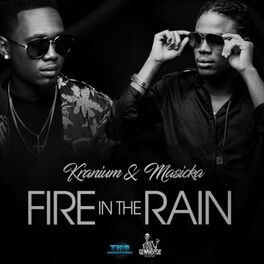 Album cover of Fire in the Rain