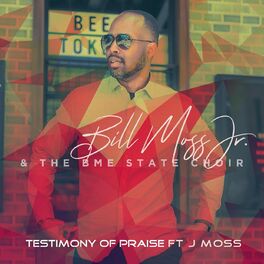 Album cover of Testimony of Praise