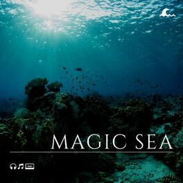 Album cover of Magic Sea