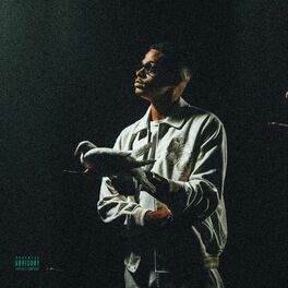 Album cover of THE FLYEST BIRD