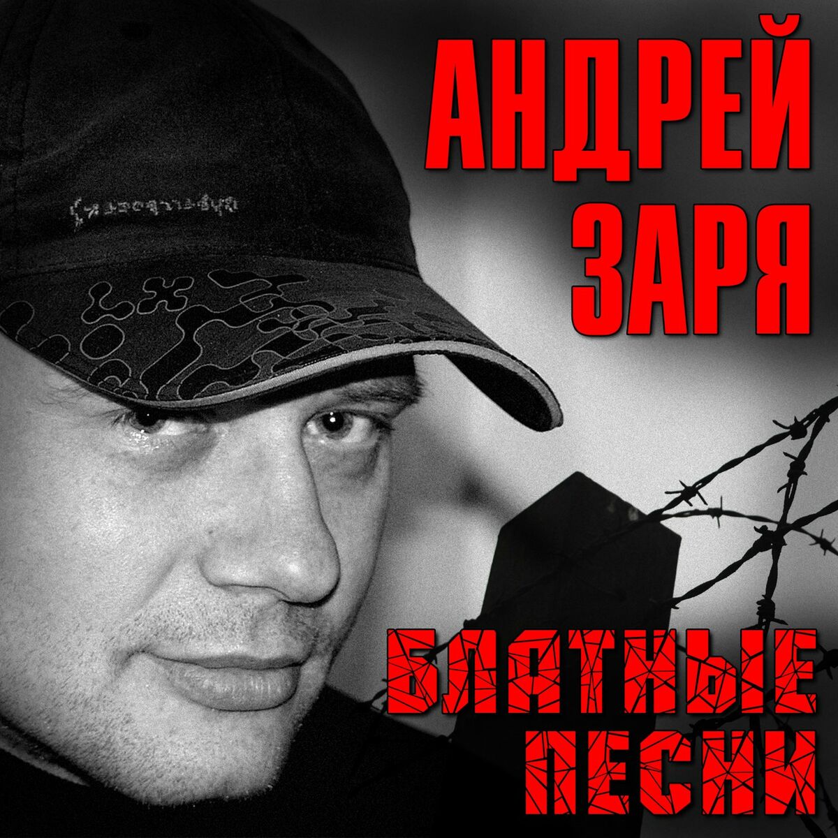 Андрей Заря: альбомы, песни, плейлисты | Слушайте на Deezer