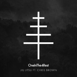 Album cover of Jiu Jitsu (feat. Chris Brown)
