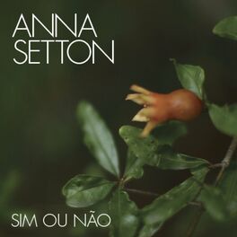 Album cover of Sim ou Não