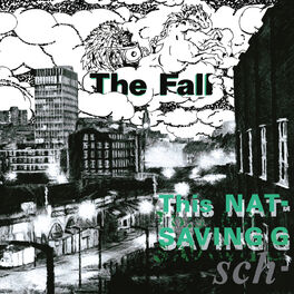 Album cover of This Nation's Saving Grace