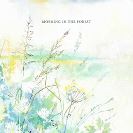 Album cover of Morning in the Forest