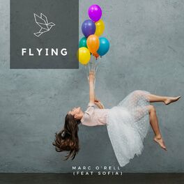 Album cover of Flying