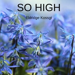 Album cover of SO HIGH