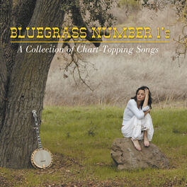 Album cover of Bluegrass Number 1's