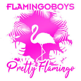 Album cover of Pretty Flamingo
