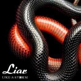 Album cover of Liar