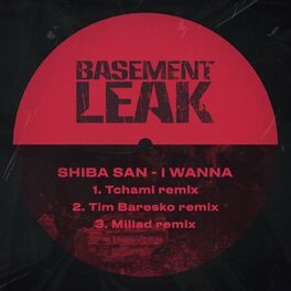 Album cover of I Wanna (Remixes)
