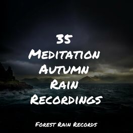 Album cover of 35 Meditation Autumn Rain Recordings