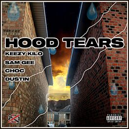 Album cover of Hood Tears