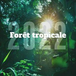 Album cover of Forêt tropicale 2022 – Zen musique de relaxation profonde pour détente, Méditation, Spa, Yoga, Bien-être et Sommeil, Dormir bien