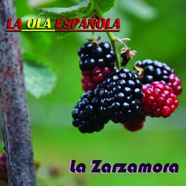 Album cover of La Ola Española (La Zarzamora)