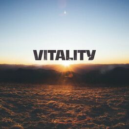 Album cover of Vitality