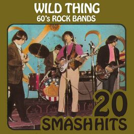 Album cover of 60's Rock Bands - Wild Thing