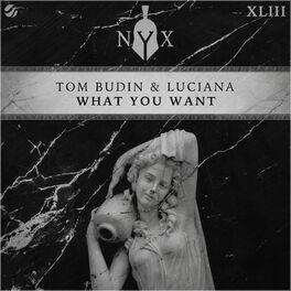 Album cover of What You Want