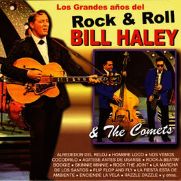 Album cover of Los Grandes Años del Rock & Roll - Bill Haley & The Comets