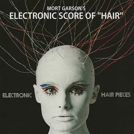 Album cover of Electronic Hair Pieces